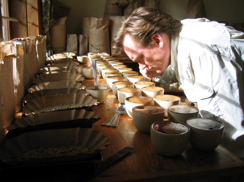 Man cupping coffee, smelling brewed samples along a row of cups