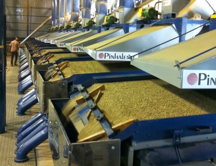 Industrial Pinhalense coffee milling and sorting line