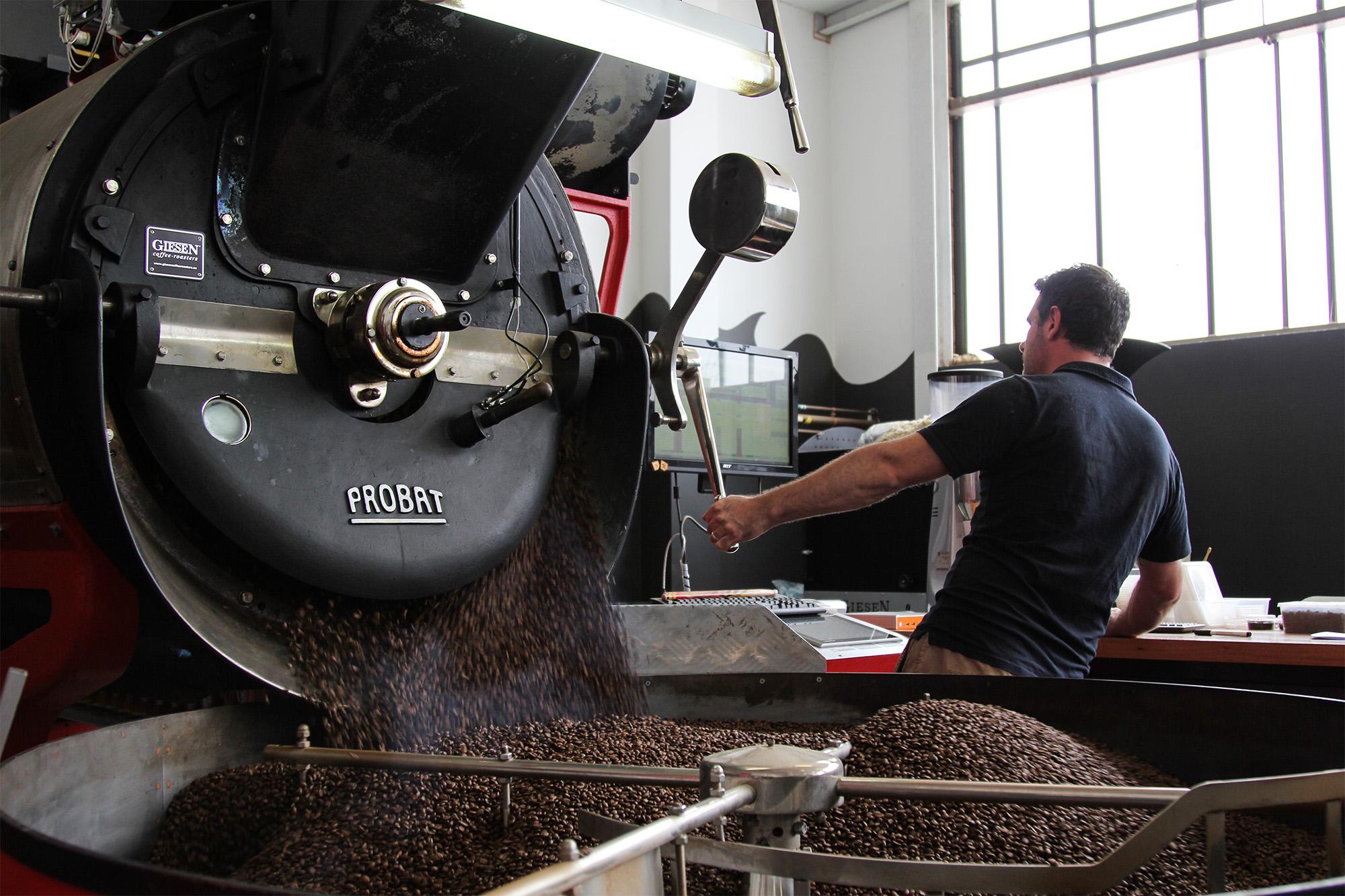 Roaster operator with beans pouring into a Probat cooling tray