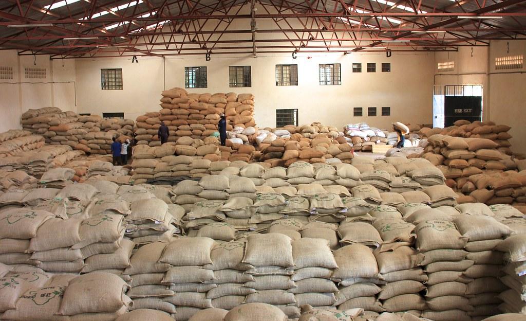 Burlap sacks of green coffee stacked in a warehouse